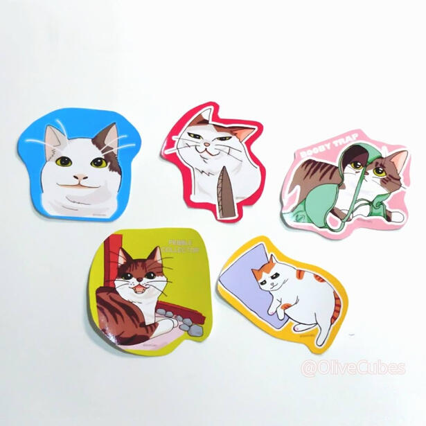 Meme cats