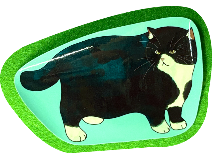 FAT cat